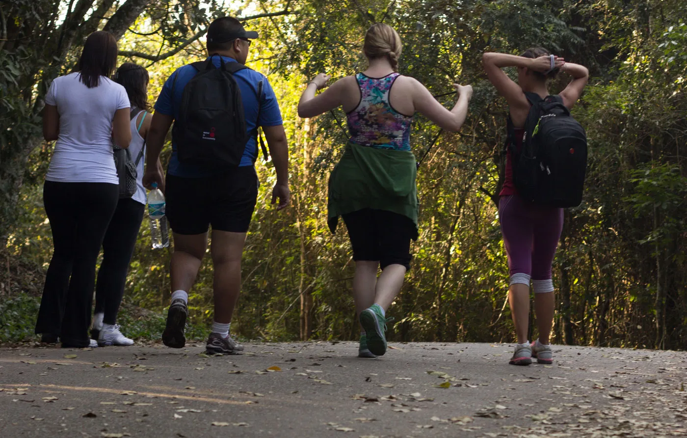 Group walking along a tree-lined trail in early light